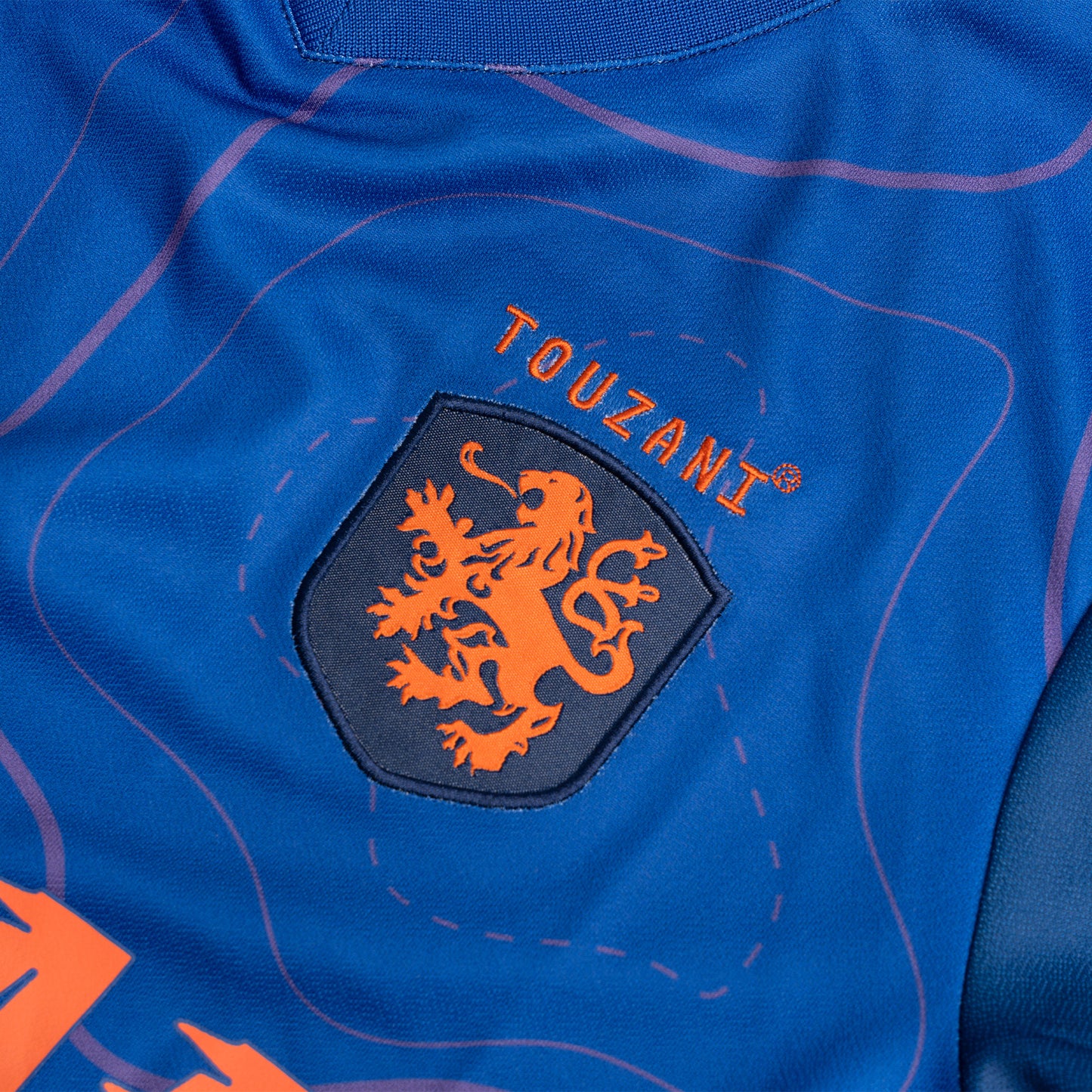 GO HOLLAND BLUE WAVE