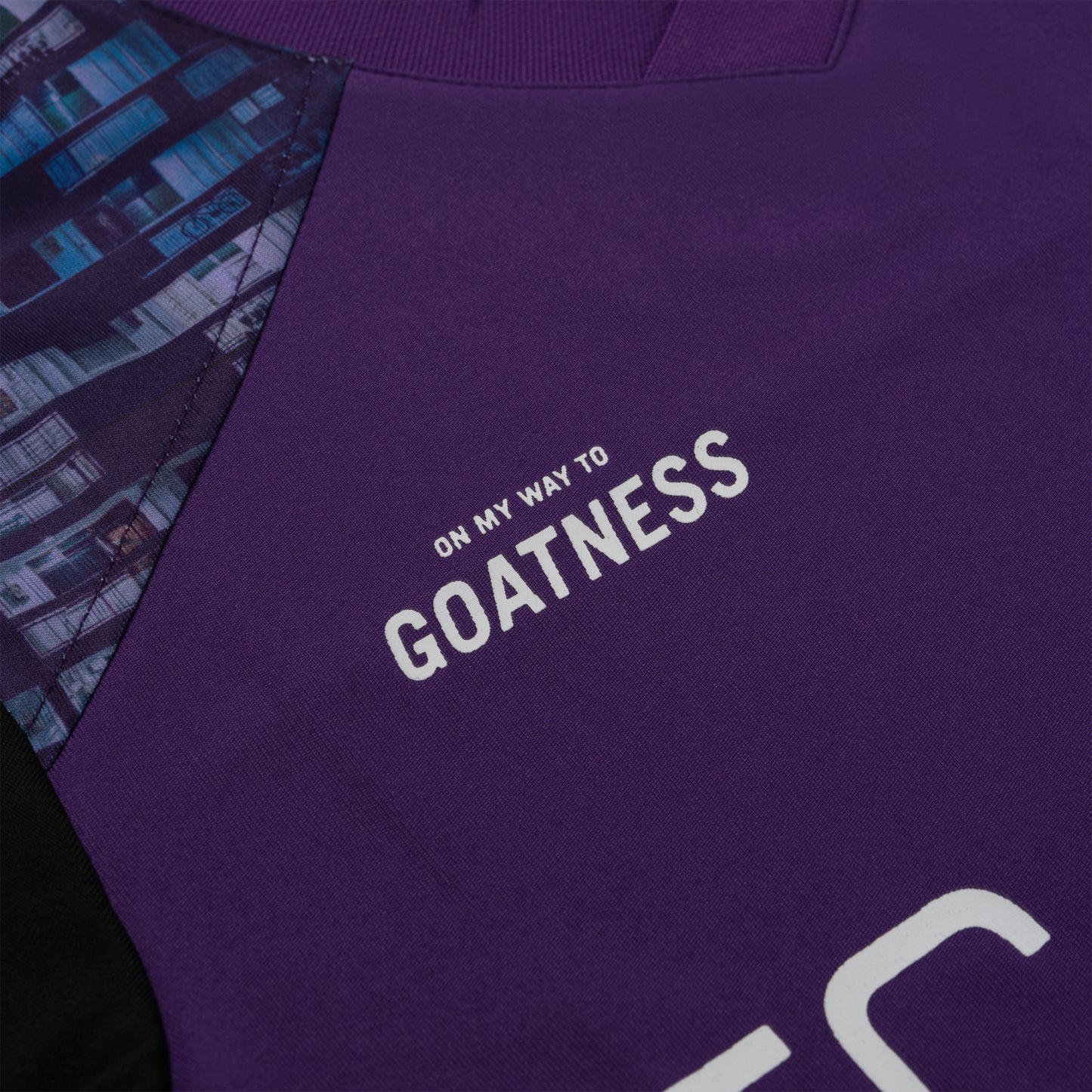 LA MANCHA PURPLE